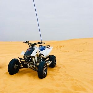 Meet your Posher, Dawson